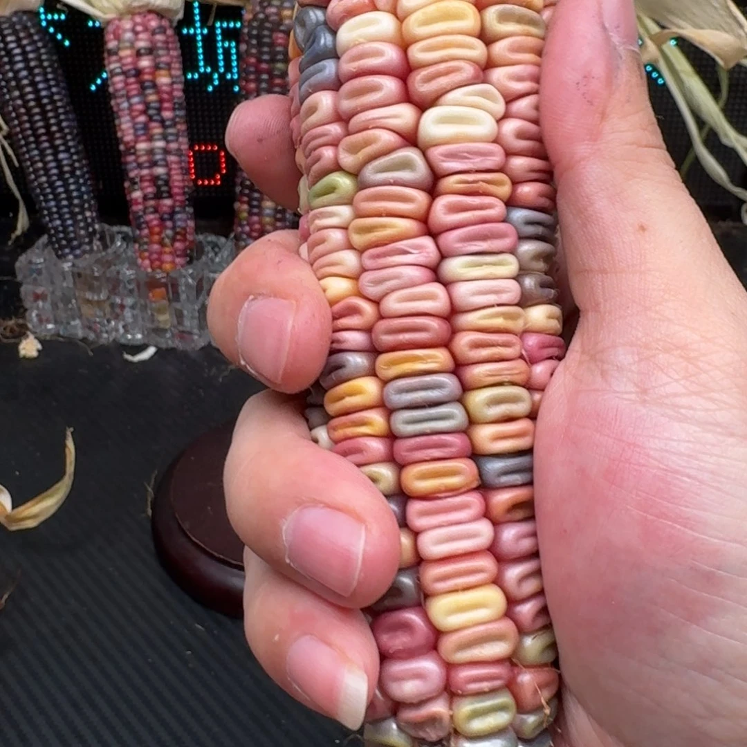 柏香籽/百香籽吊坠?***