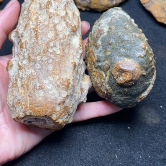 石材纯天然奇石原石146