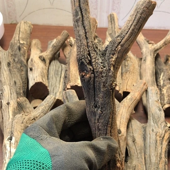 大果紫檀（缅甸花梨）傻*