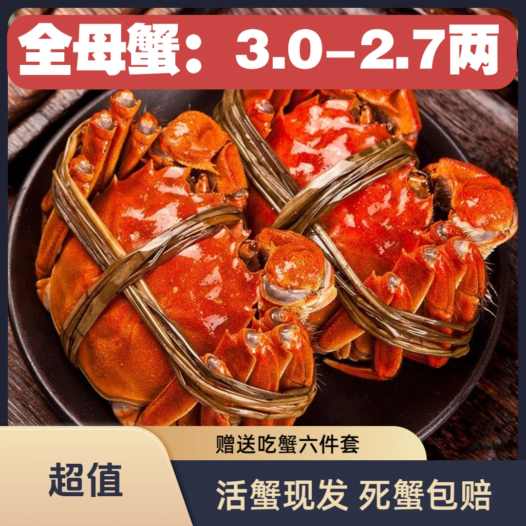 【活蟹】螃蟹全母蟹3.0-2.7两/只精品蟹8/10只顺丰/京东冷链赠吃蟹工具精美礼盒青蟹海鲜
