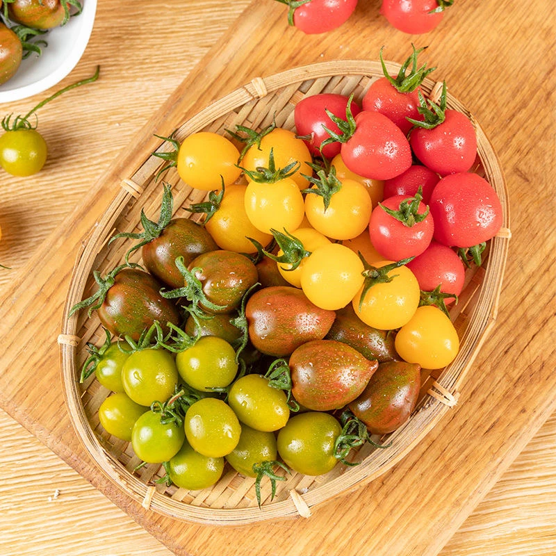 上海本地当季圣女果小番茄好吃到爆甜度高爆汁现摘现发送货上门