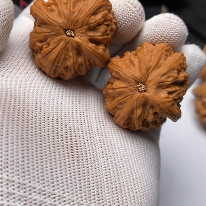 【闪购商品】文玩核桃把件21御尊