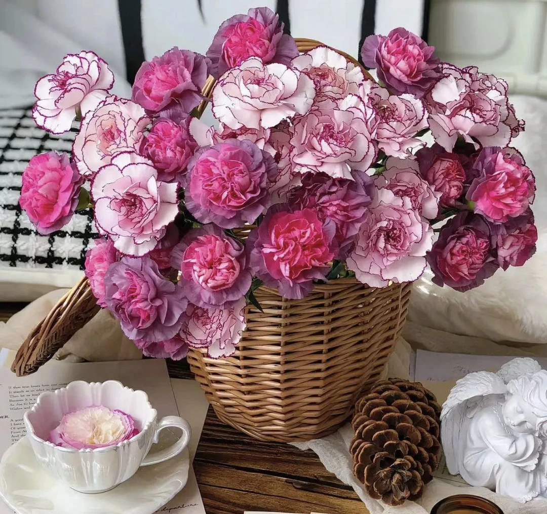 【小阿阮】A级康乃馨野马紫精灵混搭大组合超长花期 顺丰直发