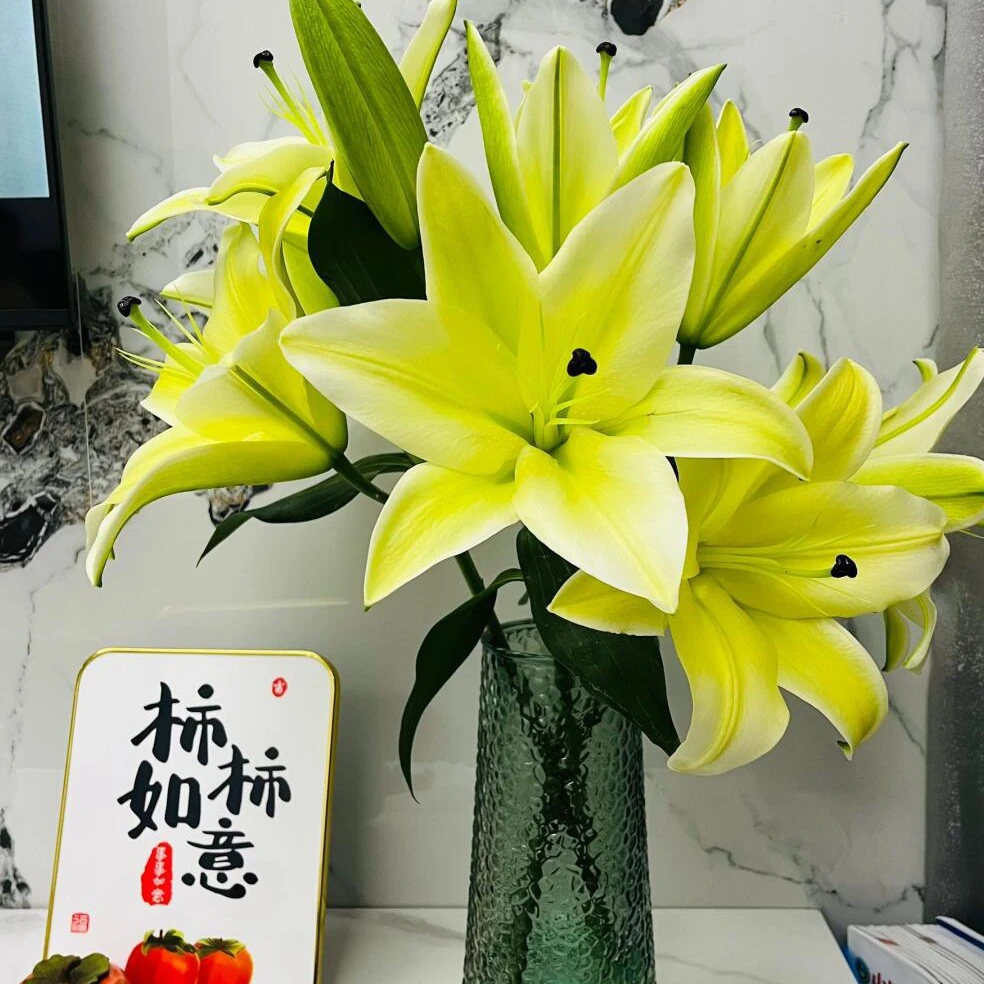 【黄田坝百合3支】河南省内任意两单全场包邮到家