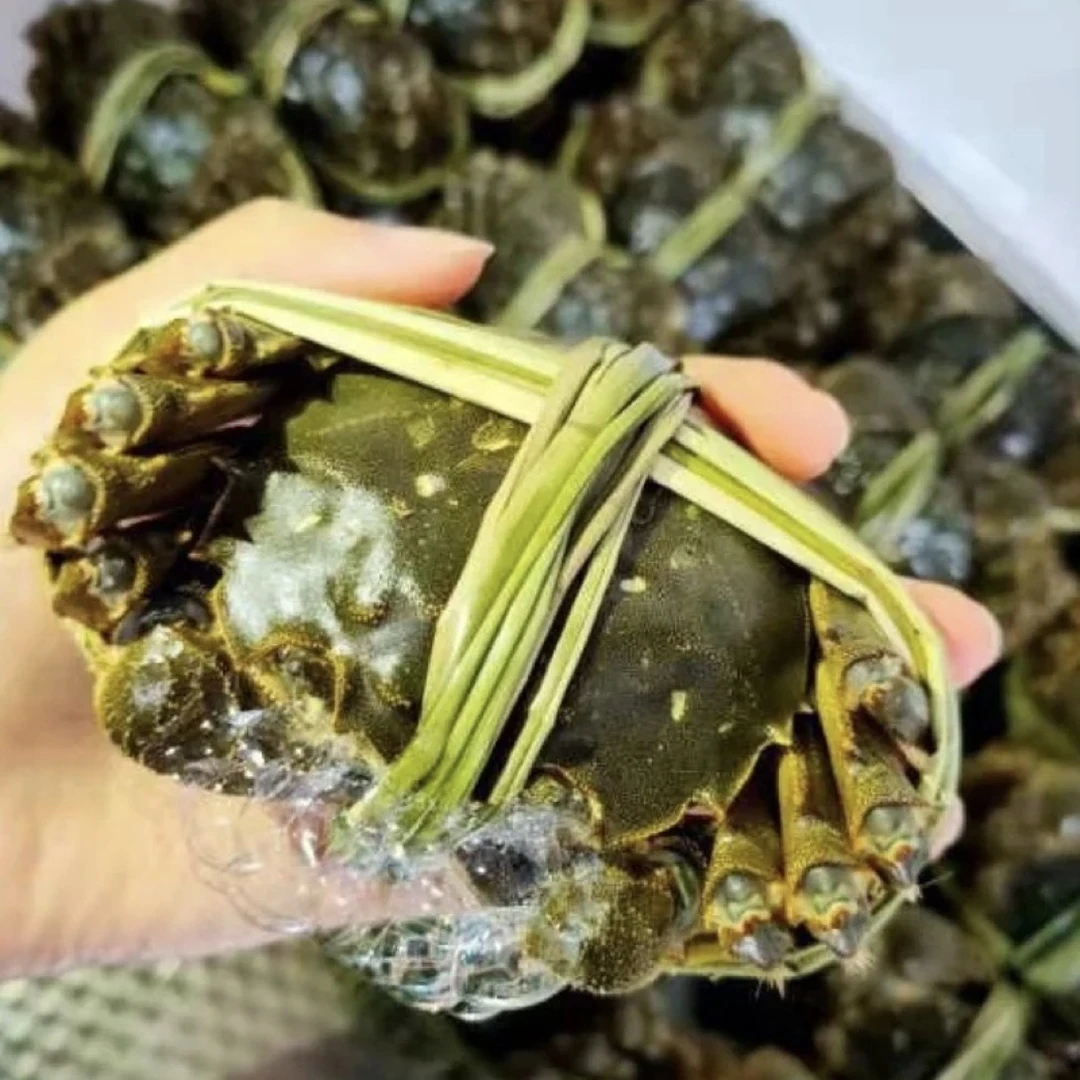 【活蟹】江苏残大闸蟹公母3斤3两以上9-10只现场称重顺丰包邮