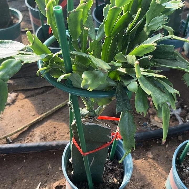 知***心74号026，111111111