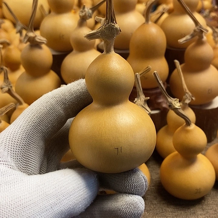 文玩葫芦 完美主义者 慎拍71