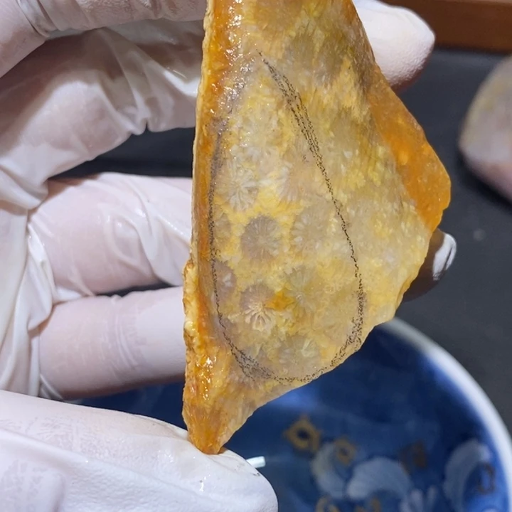 【闪购商品】未镶嵌珊瑚玉硅化玉