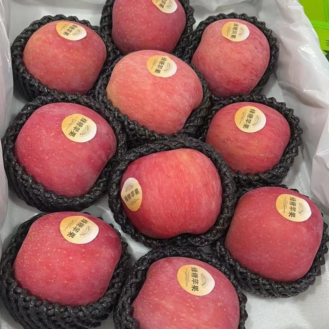 蜂糖苹果 香气浓 好吃山东省