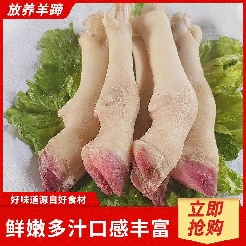 【顺丰包邮】新鲜羊蹄冷冻生羊蹄带筋优质小羊蹄羊脚散养整箱