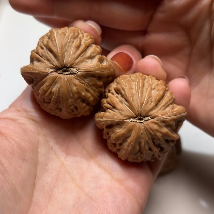 核桃平谷铁锤妹妹