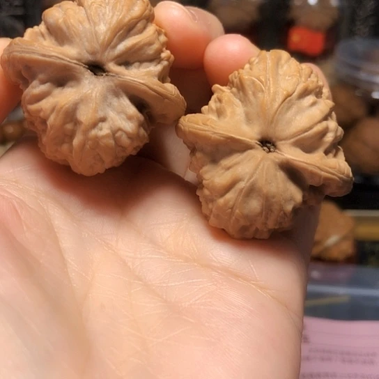 H***.精品小众：精品九月