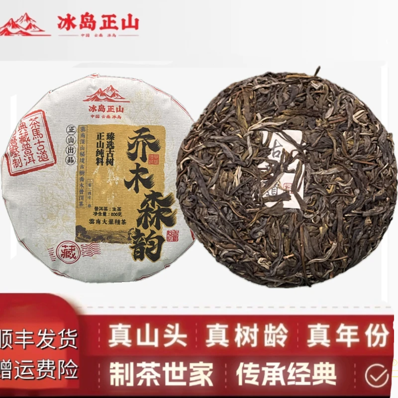 真·2024年-（乔木森韵）栗所古树头春纯料-200克普洱生茶