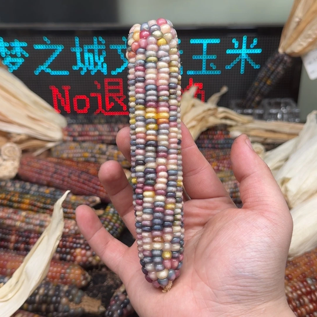 柏香籽/百香籽吊坠ʚ**星