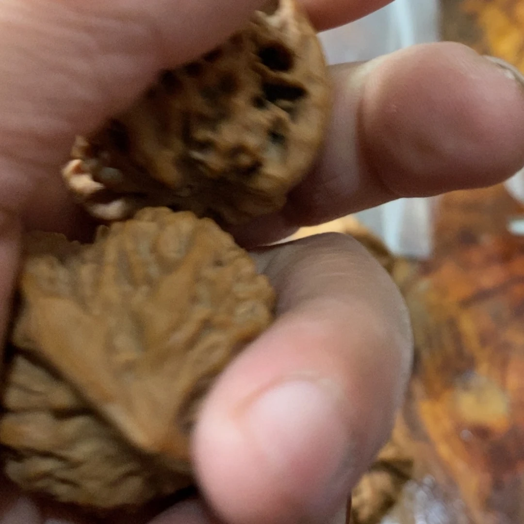 秦岭南侧和东北北部分别