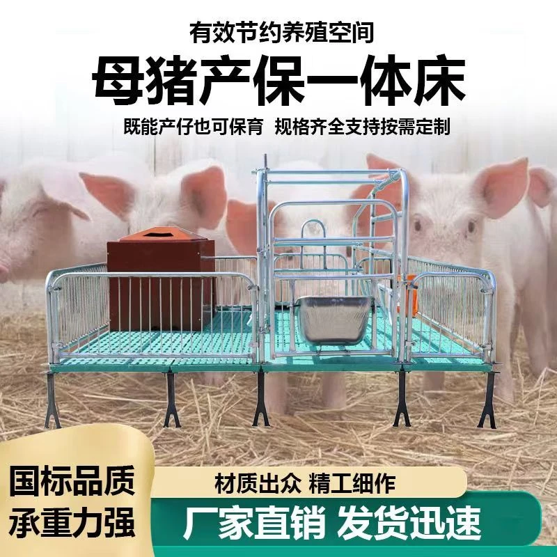 单体母猪产床热镀锌材质加厚款产保一体养猪设备