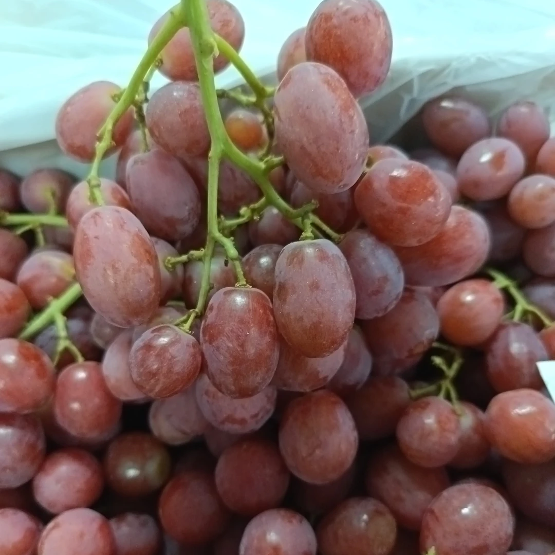 【老沙严选】澳大利亚当季新鲜无籽新鲜红提2斤散称