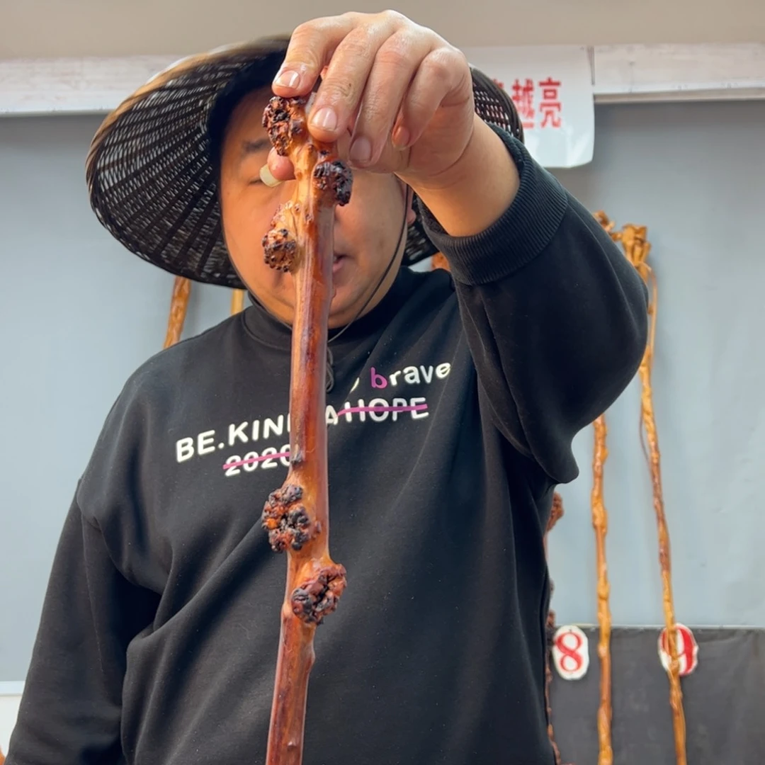 黑果木其他黑果木705