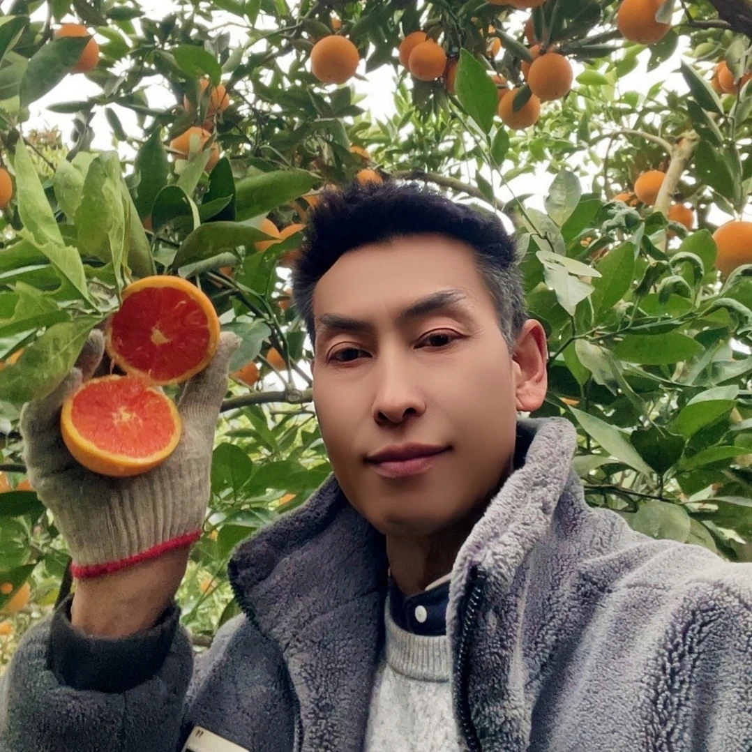 秭归九月红/血橙伦晚果冻橙夏橙榨汁无添加孕妇橙新鲜水果橙子