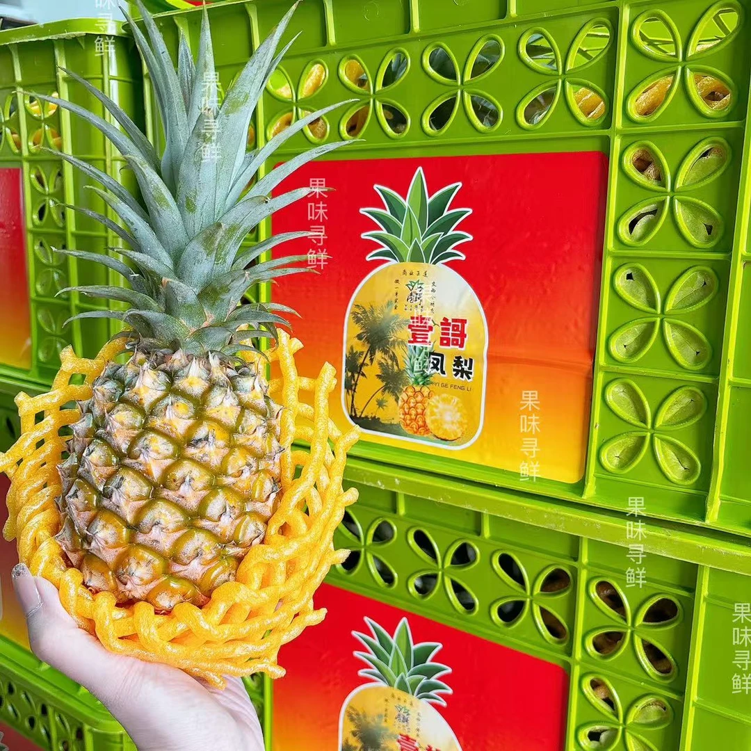 【3颗】壹哥 树熟凤梨 净重4.9斤~5.1斤 配重发货，避光储存