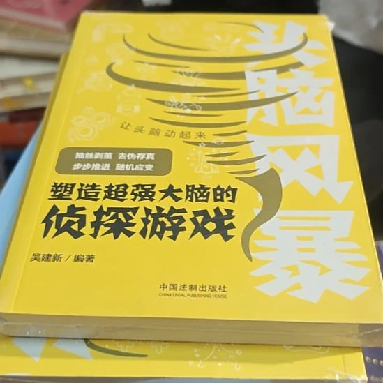 头脑风暴平装库存书全新