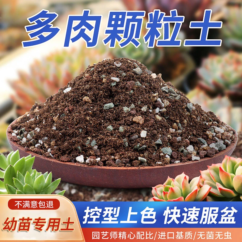 30%多肉幼苗专用营养土控型上色透气易生根进口泥炭铺面石叶插土