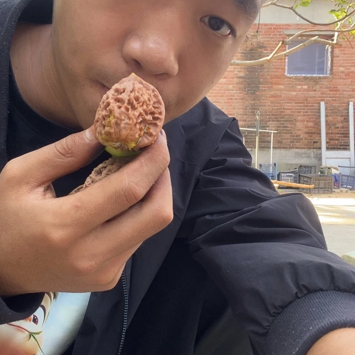 吊坠文玩核桃官帽10青皮