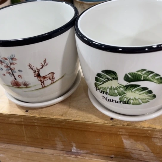 口径问客服满9元包邮，水培在3号链接