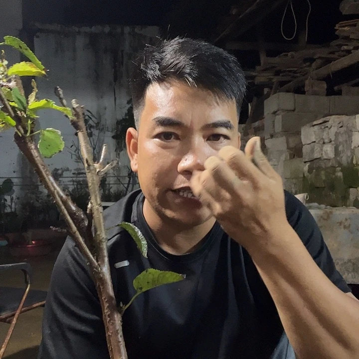 当前无花栽培后可以开花27