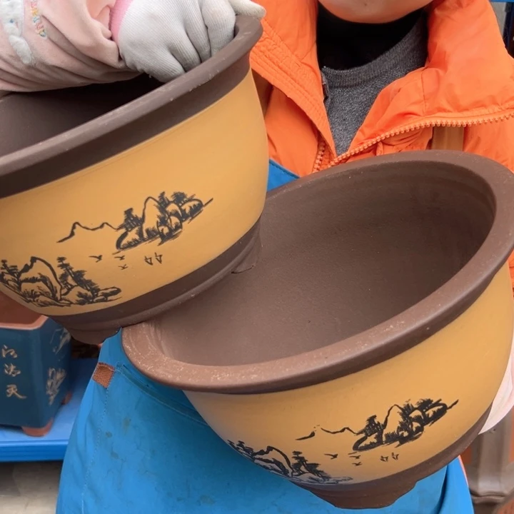 25+25和三角金钟花盆花盆