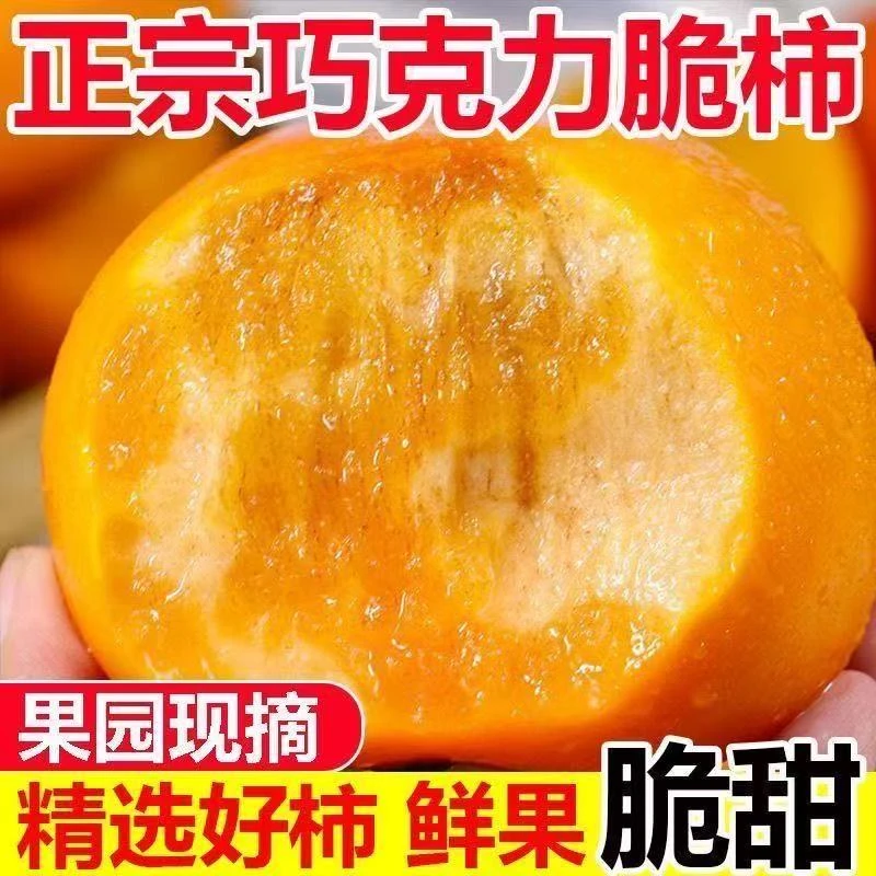 【冰糖心巧克力脆柿】2025年新鲜采摘香甜多汁山西阳丰脆柿果园直发