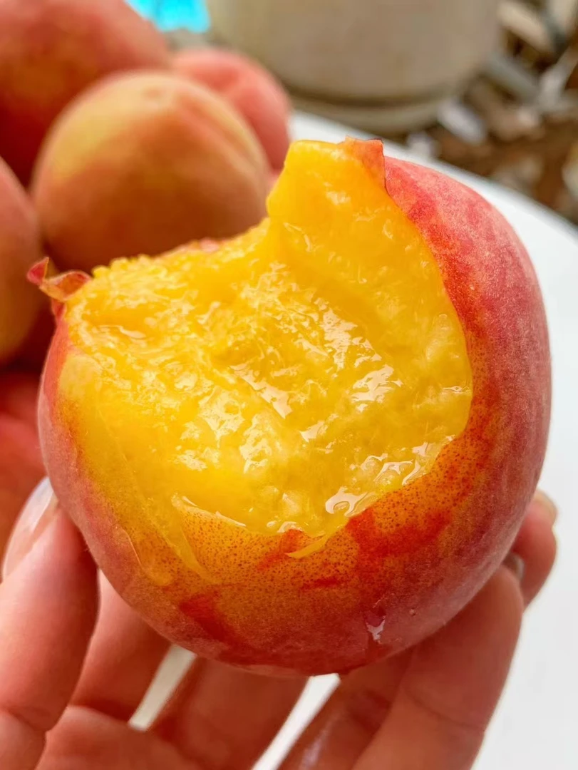 湖北本地新鲜现摘彩虹黄桃当季水果脆甜多汁蜜桃5斤包邮