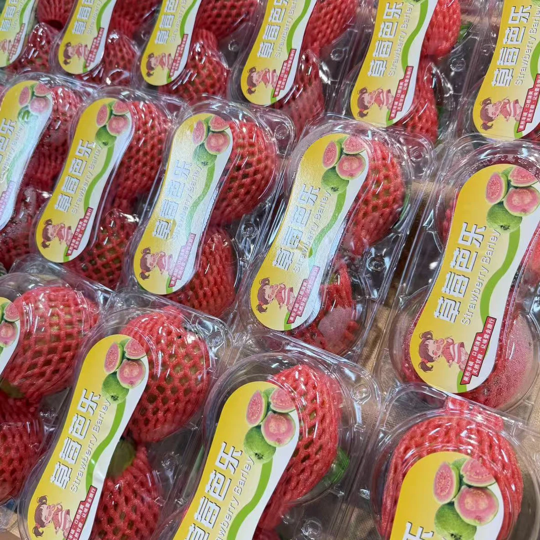 清爽草莓芭乐两个装