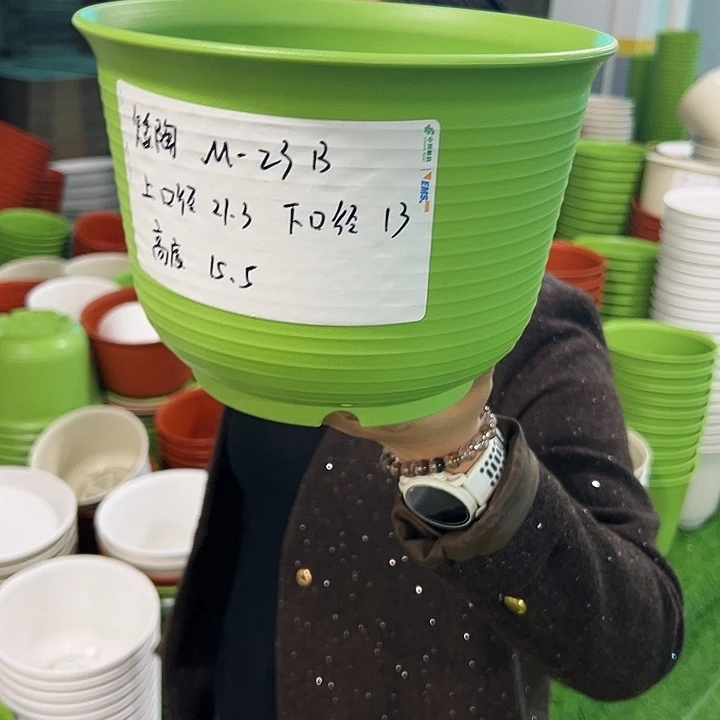 正品矮陶口21高15果绿无托8只