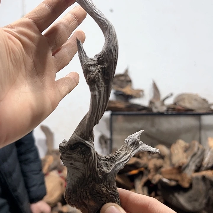 柏木向*方我们的生活也是