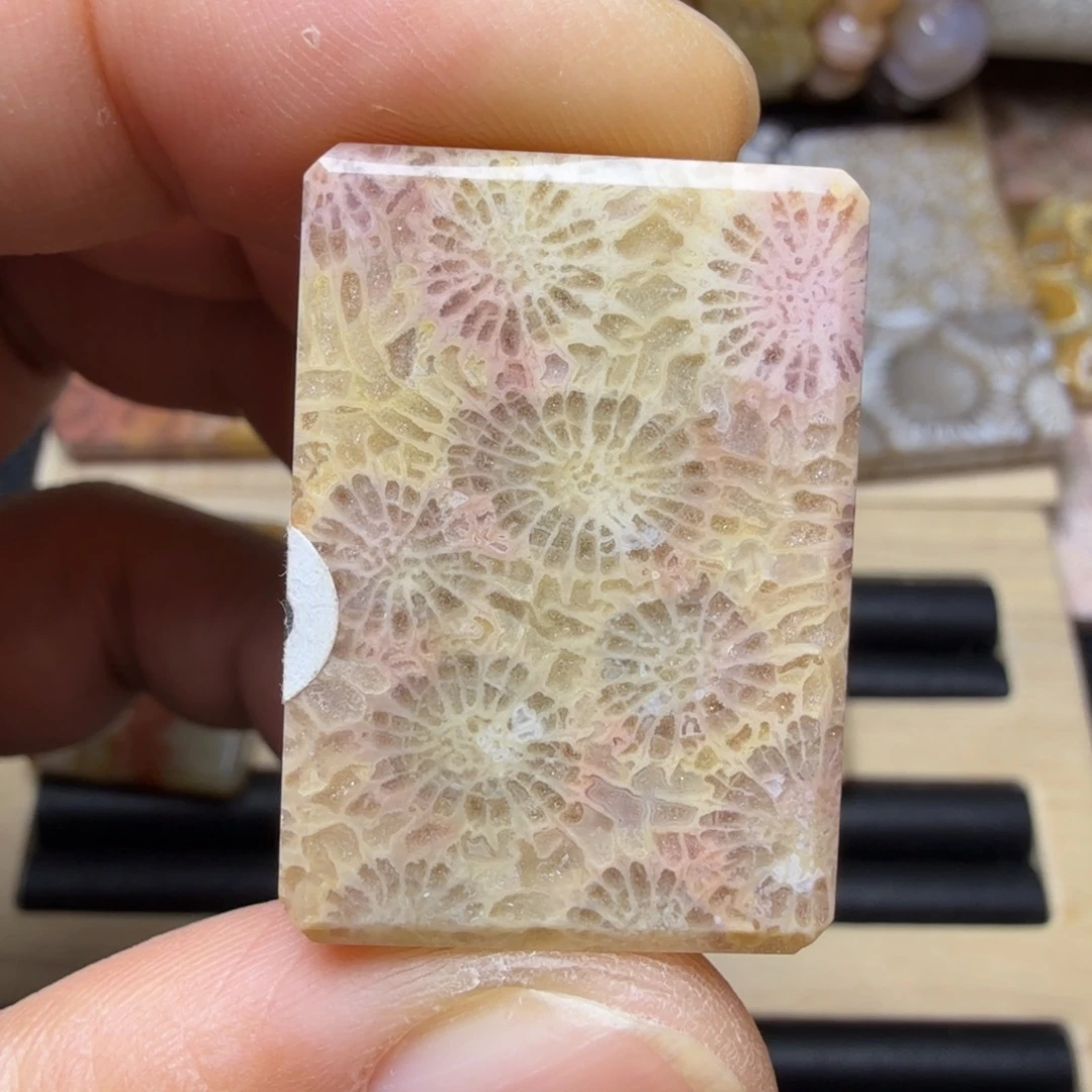 硅化玉未镶嵌纯天然色有机玉石保真色