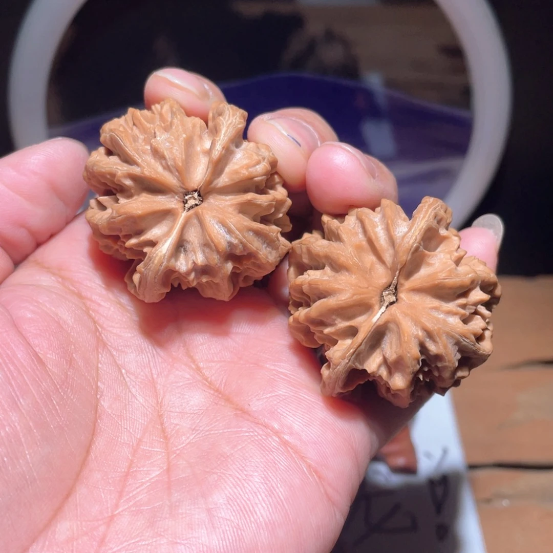 把件核桃不****夫S359。 39尺。 大龙