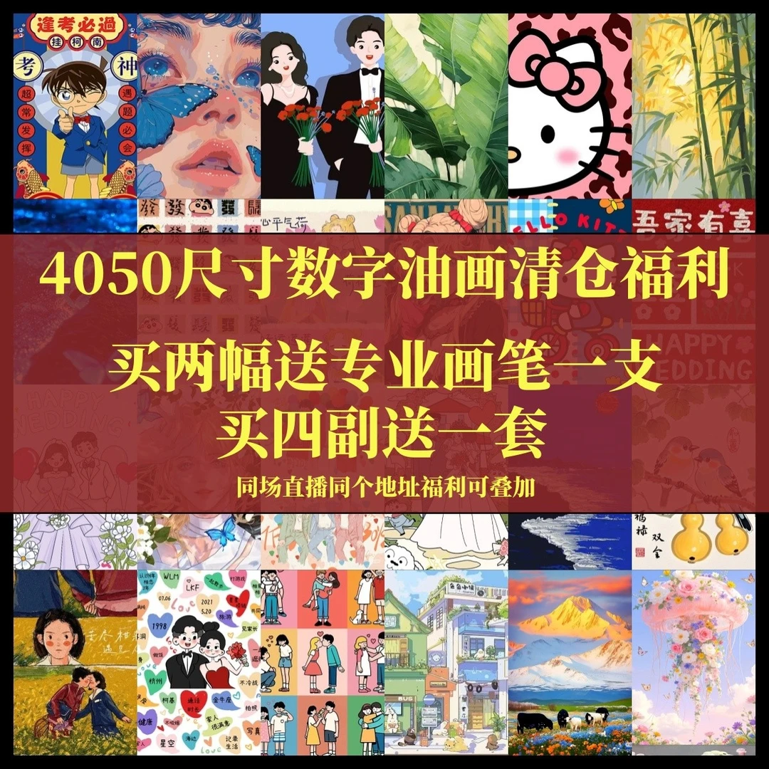 40*50CM【拾光直播间过款编码001-200】新款数字油画装饰画