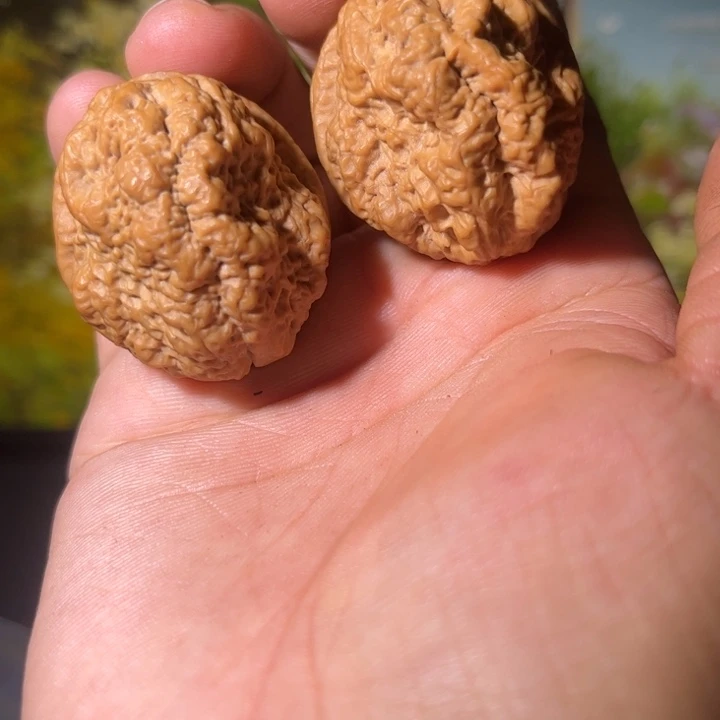 吊坠文玩核桃临沧古蟾王