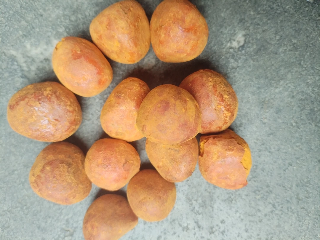 土特产≈[≈牜≈篁≈]非香菇