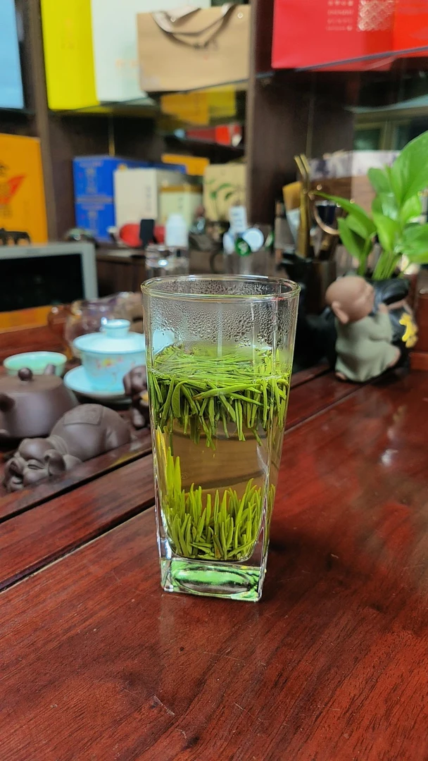 新茶高山贡芽茶口感鲜爽，香气浓郁，芽头饱满，根根直立。