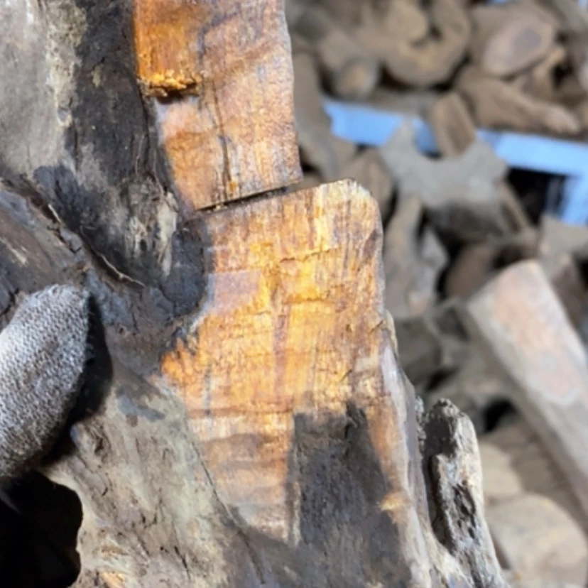 【闪购商品】贡木手串梦**空私人订制