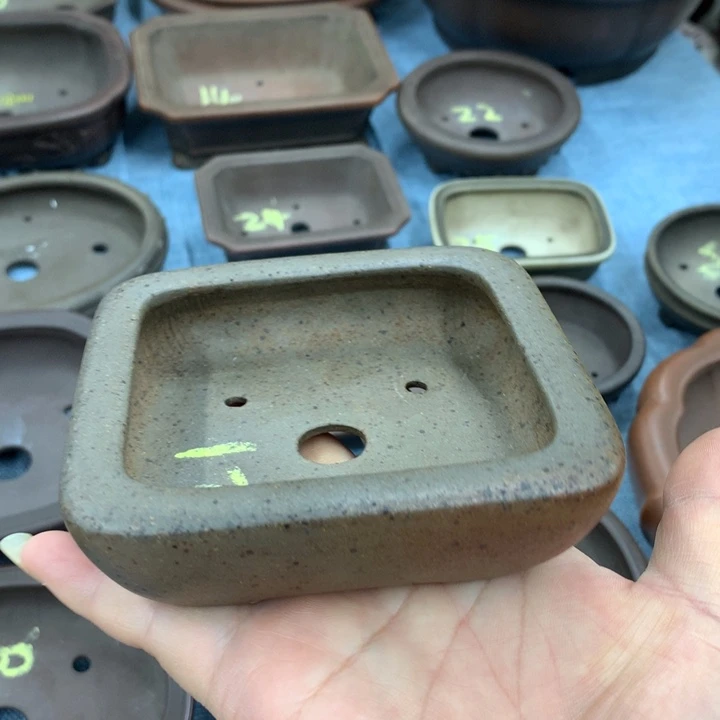 紫砂花盆阿*紫砂花盆