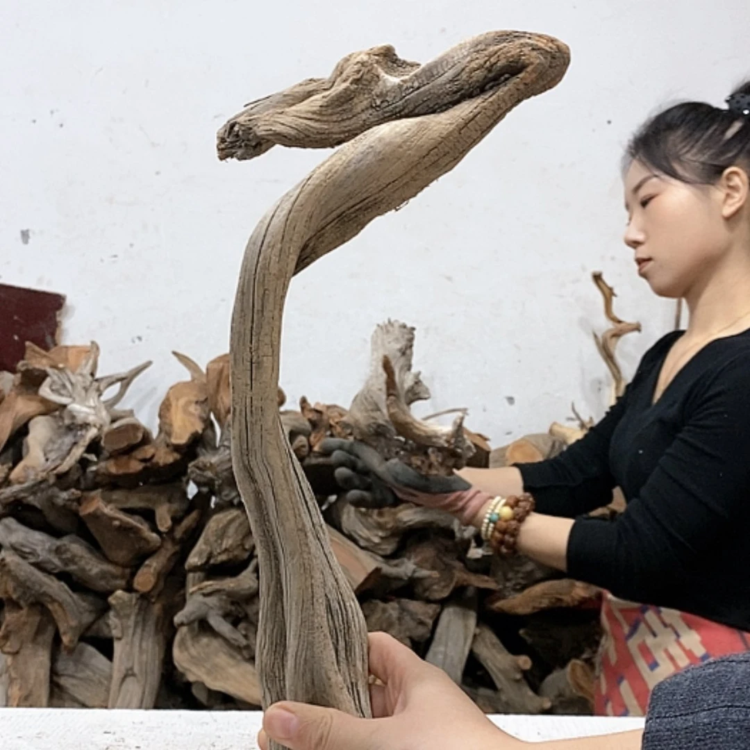 【闪购商品】柏木有*友我们都是好孩子