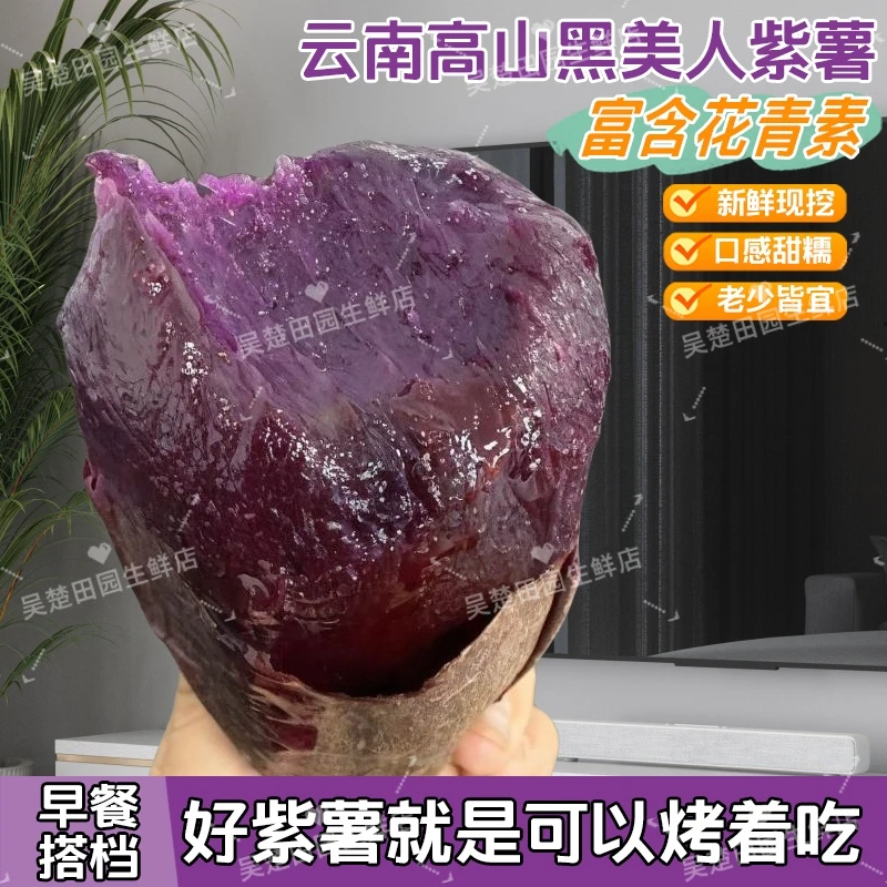 【黑美人紫薯】云南高山原产沙地紫薯香甜软糯糖心流油流蜜新鲜现挖