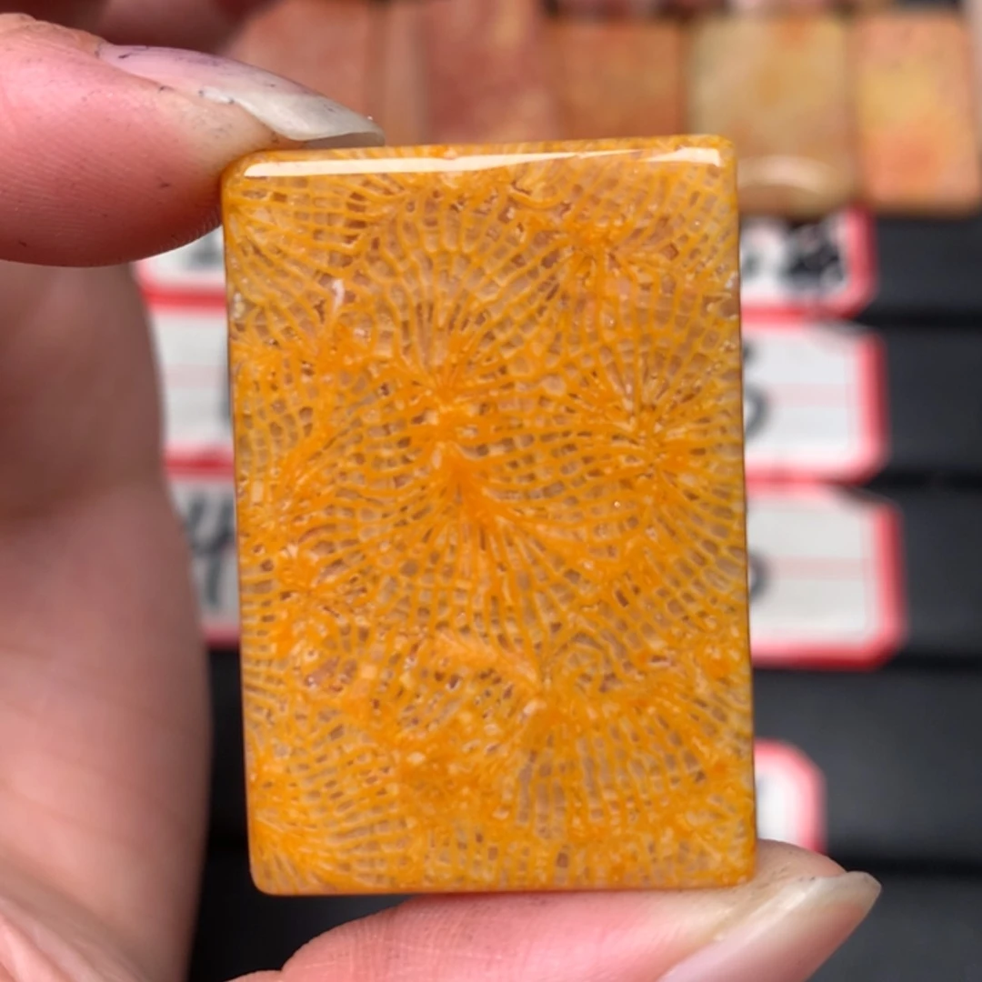 【闪购商品】硅化玉颈饰未镶嵌锦**多