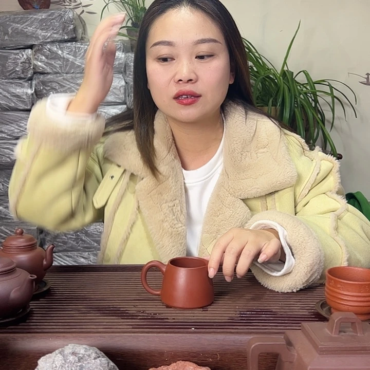 紫砂茶壶宜兴紫砂