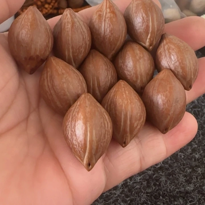 橄榄核手串橄榄核原皮铁盒三面佛