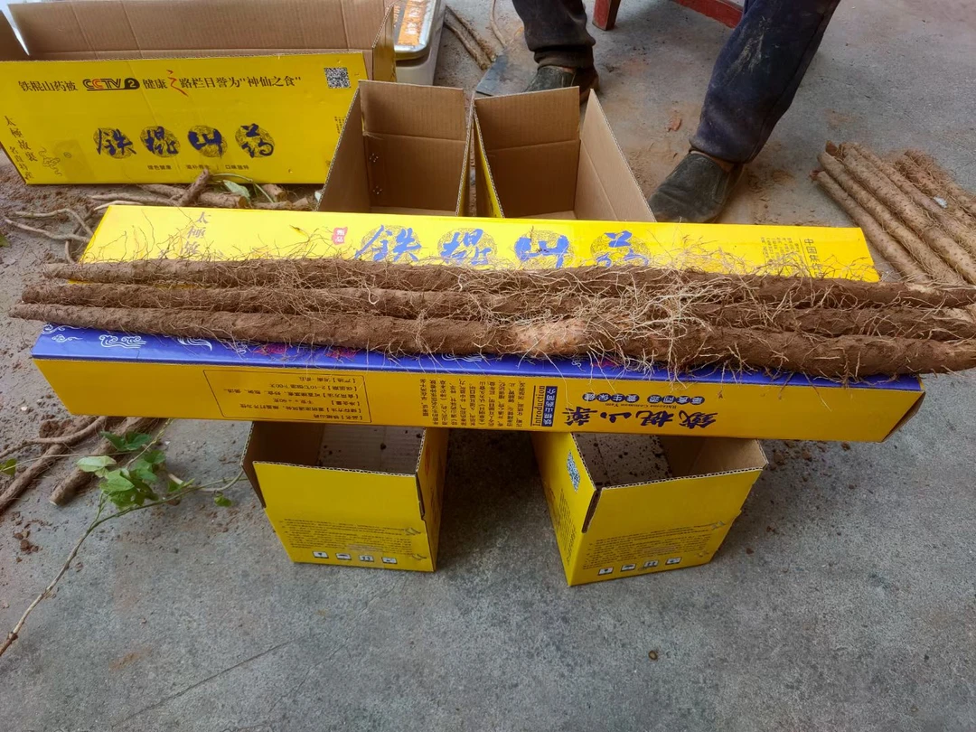 焦作怀庆府正宗垆土铁棍山药厂家直销口感软糯香甜老少皆宜