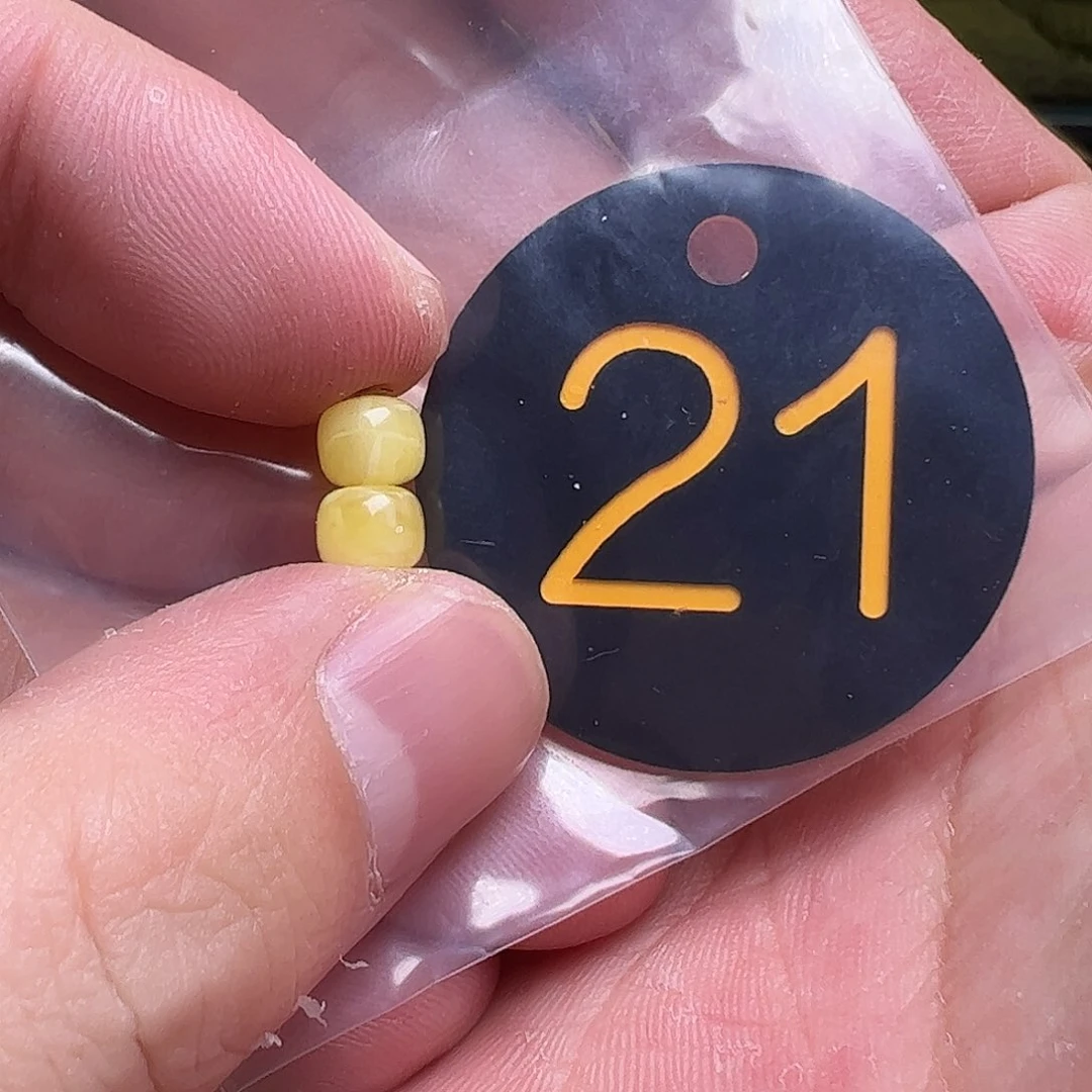 蜜蜡未镶嵌珠宝奇石6m m